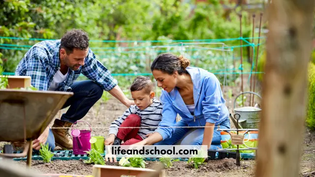 The 20 most popular Spring Activities3