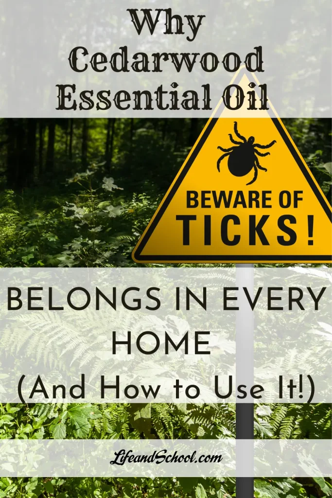 Cedarwood Essential Oil