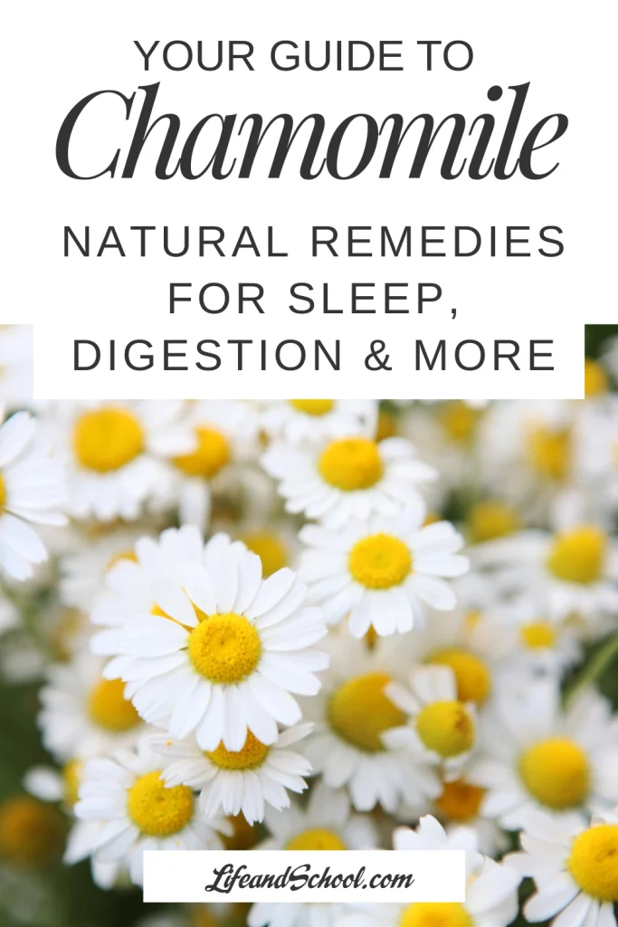 Chamomile