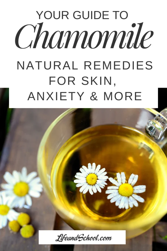 Chamomile