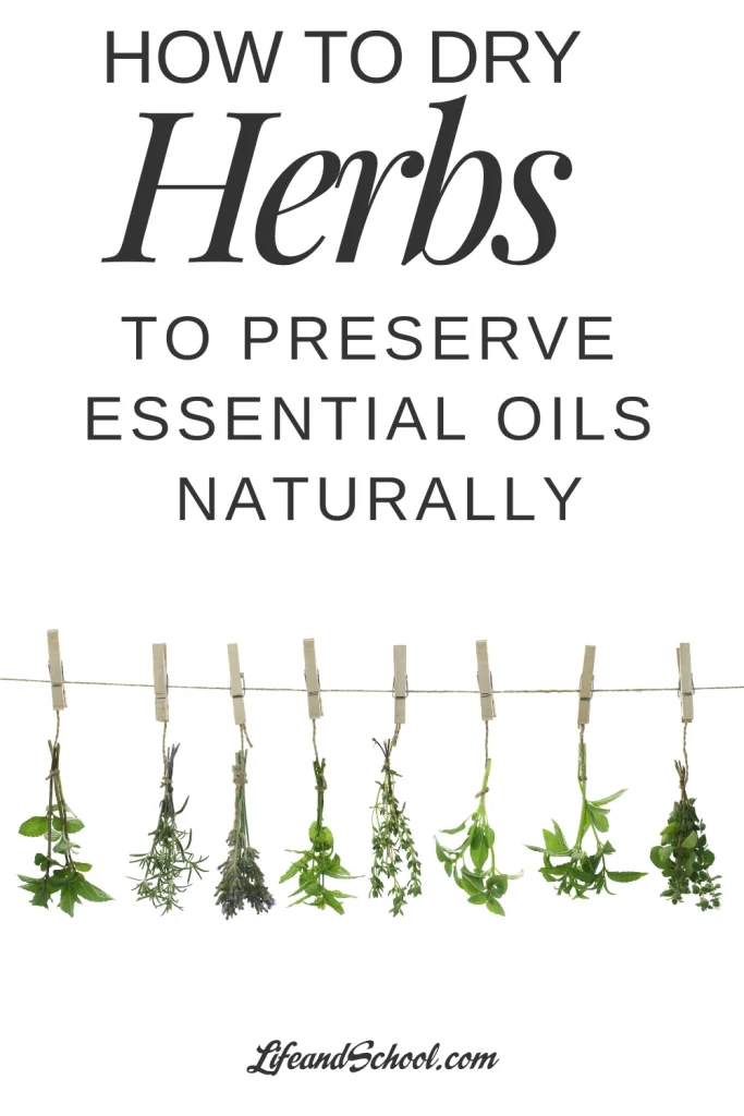 How to Dry Herbs17 (1)