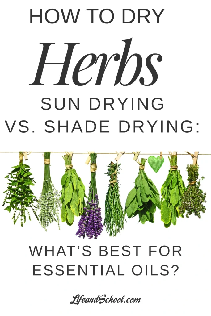 How to Dry Herbs19 (1)