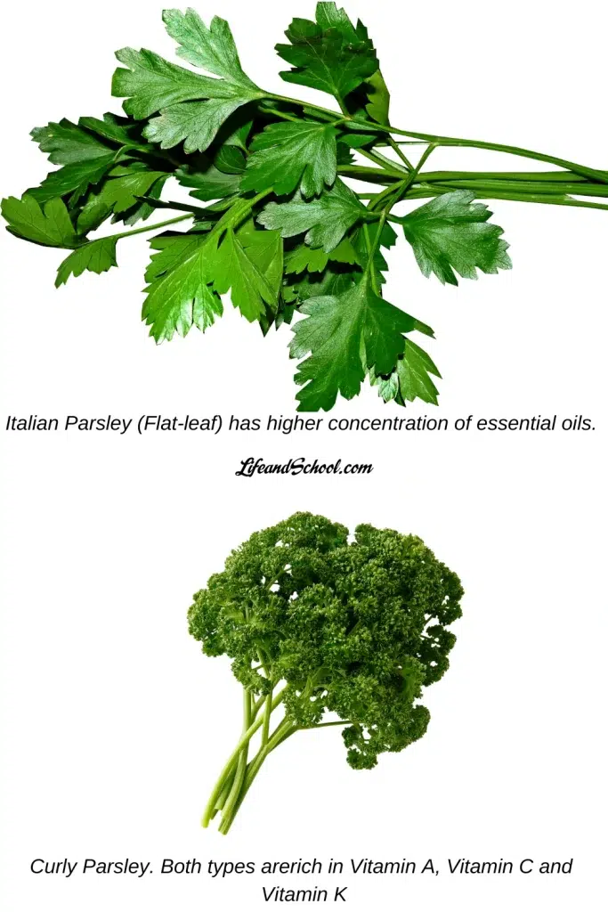 Parsley Types