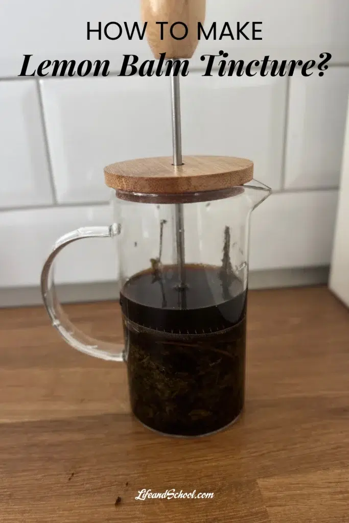 Lemon Balm Tincture 104