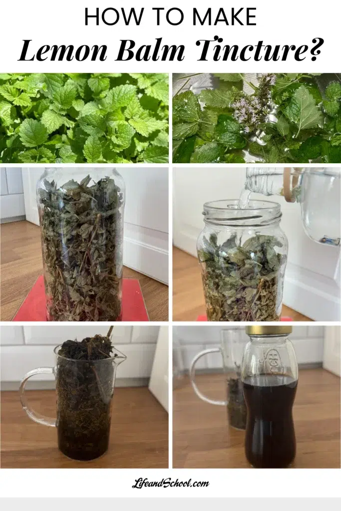 Lemon Balm Tincture 106